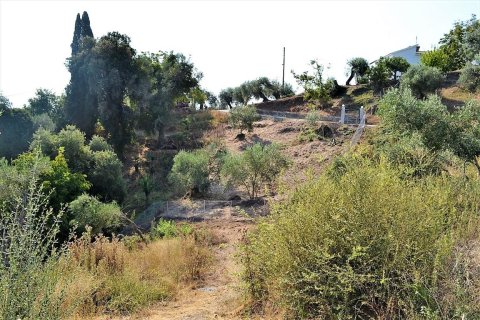 5780m² Land en Corfu, Greece No. 57011 5