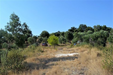 5780m² Land in Corfu, Greece No. 57011 7