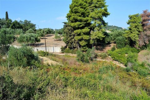 5780m² Land en Corfu, Greece No. 57011 8