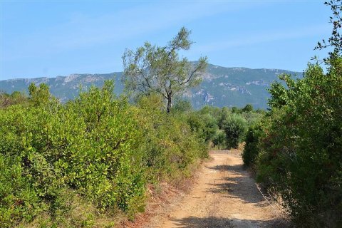 30000m² Land in Corfu, Greece No. 56993 3