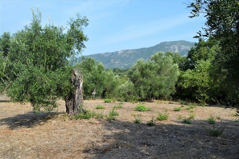 30000m² Land en Corfu, Greece No. 56993 12