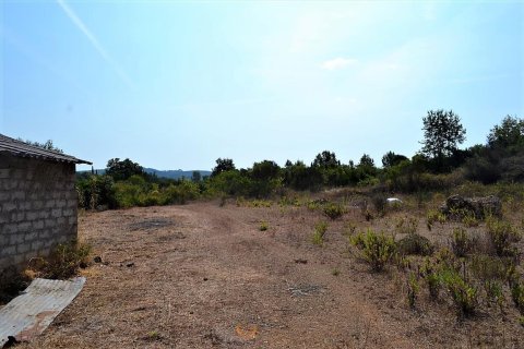 30000m² Land in Corfu, Greece No. 56993 8