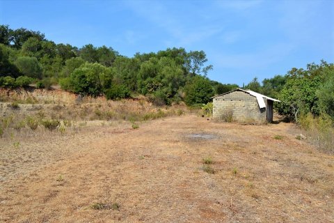 30000m² Land in Corfu, Greece No. 56993 6