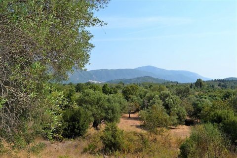 30000m² Land en Corfu, Greece No. 56993 2