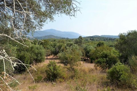 30000m² Land en Corfu, Greece No. 56993 1