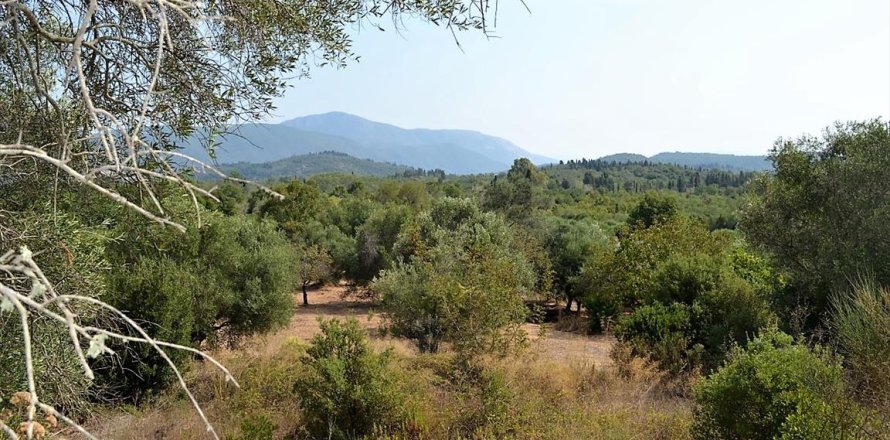 30000m² Land en Corfu, Greece No. 56993