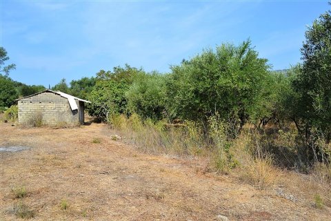 30000m² Land en Corfu, Greece No. 56993 7