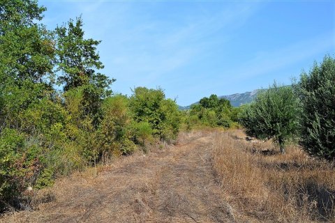 30000m² Land in Corfu, Greece No. 56993 5