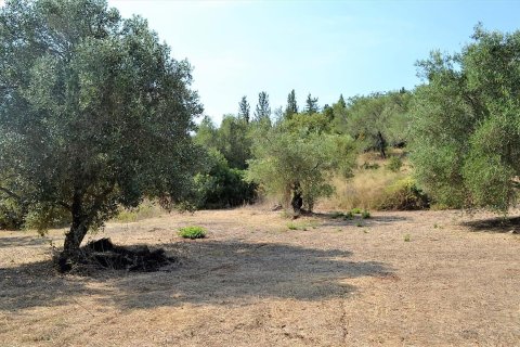 30000m² Land in Corfu, Greece No. 56993 10