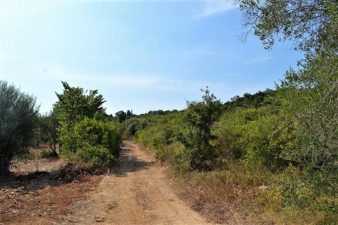 30000m² Land en Corfu, Greece No. 56993 4