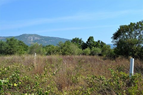 30000m² Land en Corfu, Greece No. 56993 9