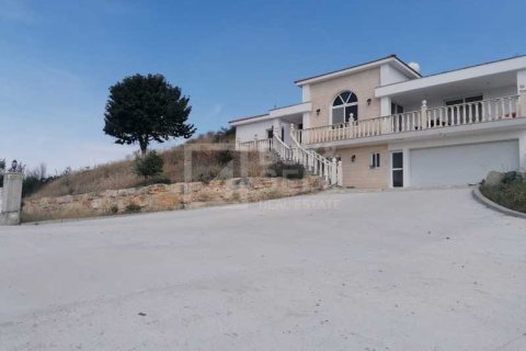 5 bedrooms House in Eptagonia, Cyprus No. 63343 16