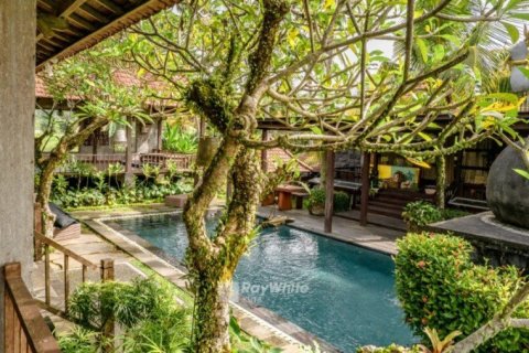 5 dormitorios Villa en Ubud, Indonesia No. 22966 8