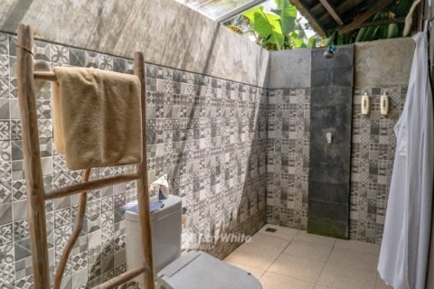 5 dormitorios Villa en Ubud, Indonesia No. 22966 20