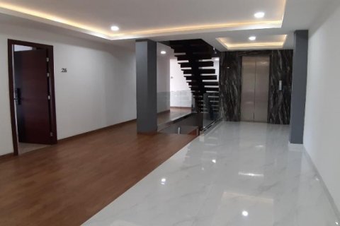 45 dormitorios House en Renon, Indonesia No. 22917 18