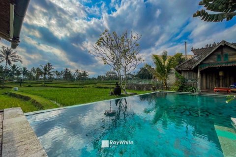 8 bedrooms Villa in Tegallalang, Indonesia No. 22674 14