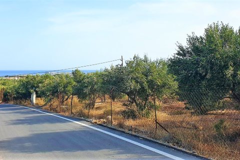 10500m² Land in Hersonissos, Greece No. 56459 1