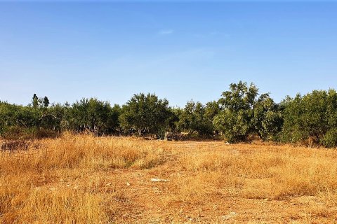 10500m² Land en Hersonissos, Greece No. 56459 3