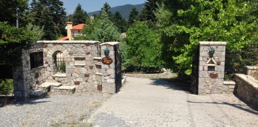 234m² Negocio en Boeotia, Greece No. 57173