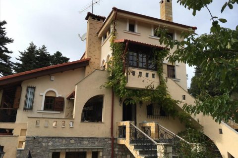 234m² Negocio en Boeotia, Greece No. 57173 2