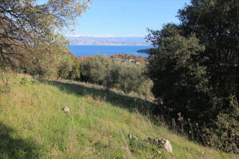 12500m² Land en Corfu, Greece No. 57645 2