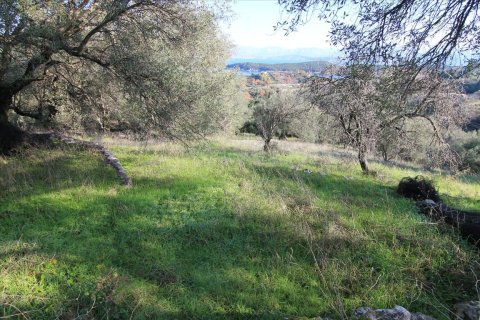 12500m² Land en Corfu, Greece No. 57645 4