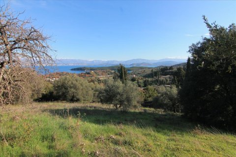 12500m² Land en Corfu, Greece No. 57645 1