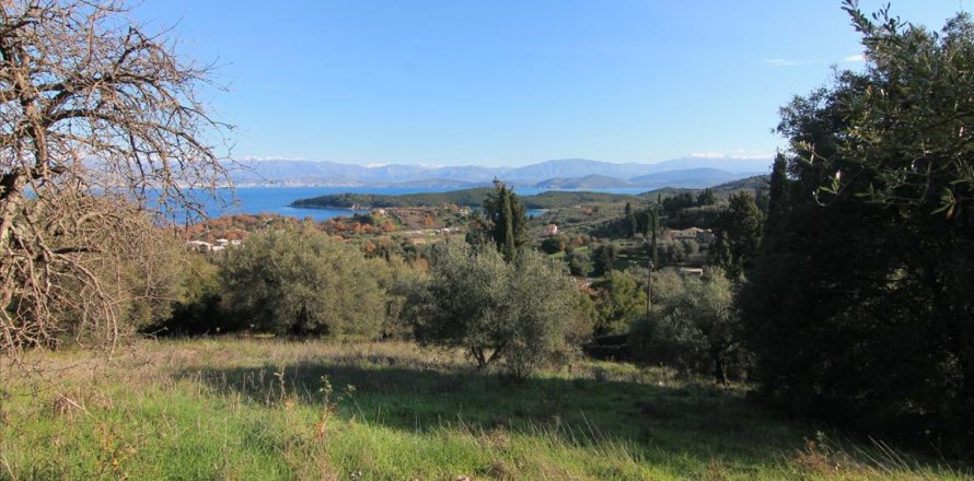 12500m² Land en Corfu, Greece No. 57645