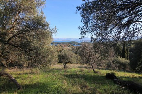 12500m² Land en Corfu, Greece No. 57645 3