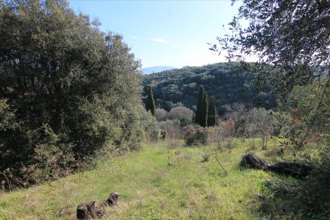 12500m² Land en Corfu, Greece No. 57645 5