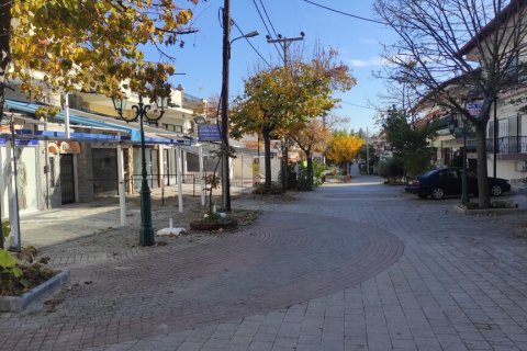 549m² Land à Chalkidiki, Greece No. 56152 1