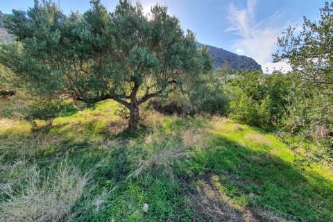 4000m² Land en Hersonissos, Greece No. 56150 4