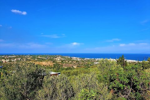 4000m² Land in Hersonissos, Greece No. 56150 1