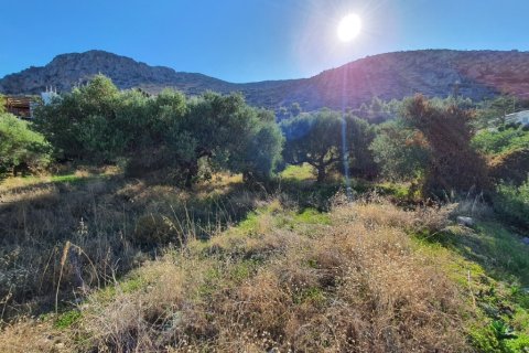 4000m² Land en Hersonissos, Greece No. 56150 3