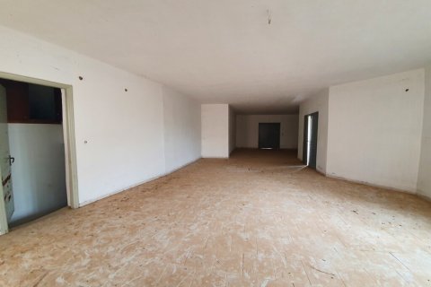 511m² Affaires à Lasithi, Greece No. 56149 19