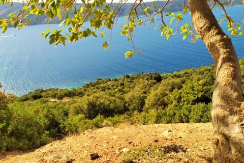 7318m² Land en Ithaca, Greece No. 56154 2