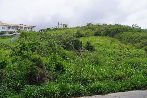 929.03m² Land à Basseterre, Saint Kitts and Nevis No. 61527 3