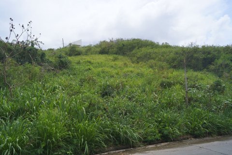 929.03m² Land à Basseterre, Saint Kitts and Nevis No. 61527 2