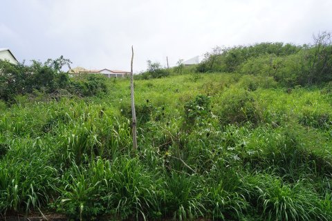 929.03m² Land en Basseterre, Saint Kitts and Nevis No. 61527 1