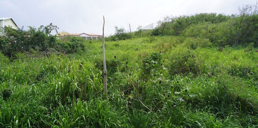 929.03m² Land en Basseterre, Saint Kitts and Nevis No. 61527