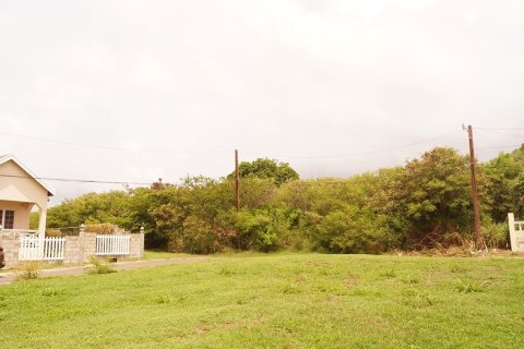 841.92m² Land en Basseterre, Saint Kitts and Nevis No. 61530 6