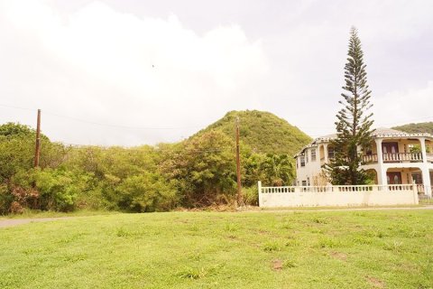 841.92m² Land en Basseterre, Saint Kitts and Nevis No. 61530 3