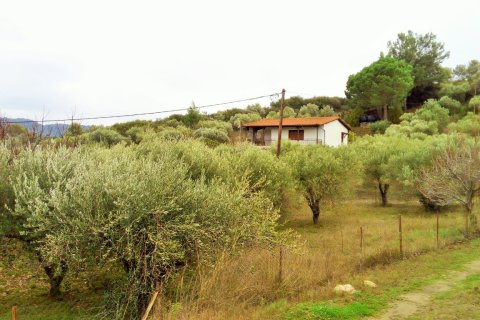 3 dormitorios House en Chalkidiki, Greece No. 58412 16