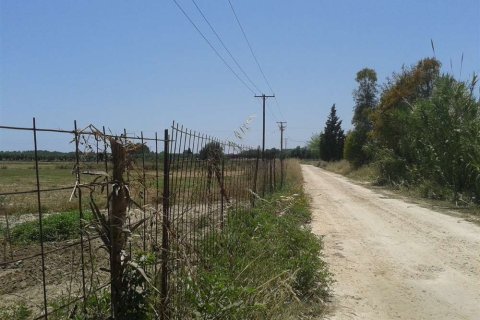 Land en Zakynthos, Greece No. 28099 5