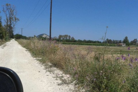 Land in Zakynthos, Greece No. 28099 13