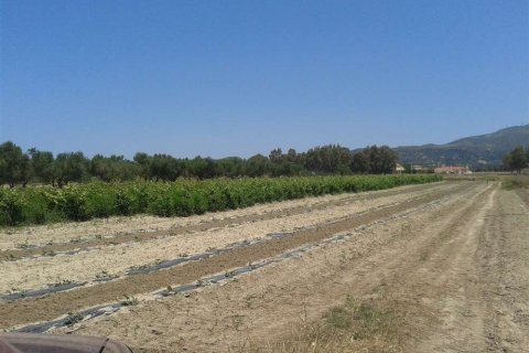 Land in Zakynthos, Greece No. 28099 4