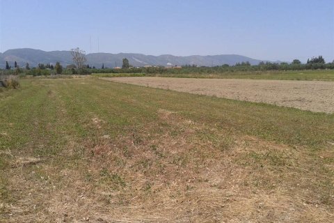 Land in Zakynthos, Greece No. 28099 10