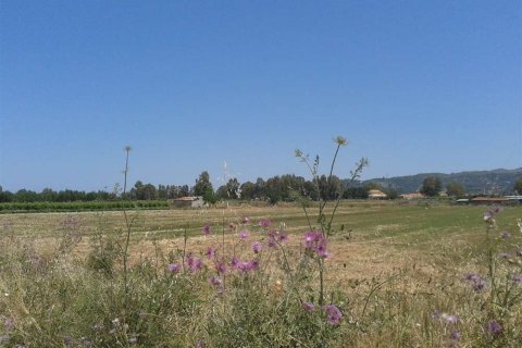 Land in Zakynthos, Greece No. 28099 2