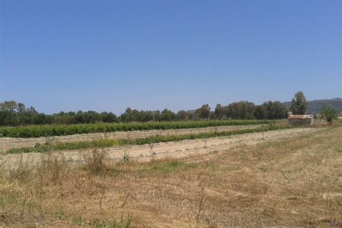 Land in Zakynthos, Greece No. 28099 7