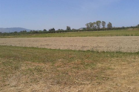 Land in Zakynthos, Greece No. 28099 3